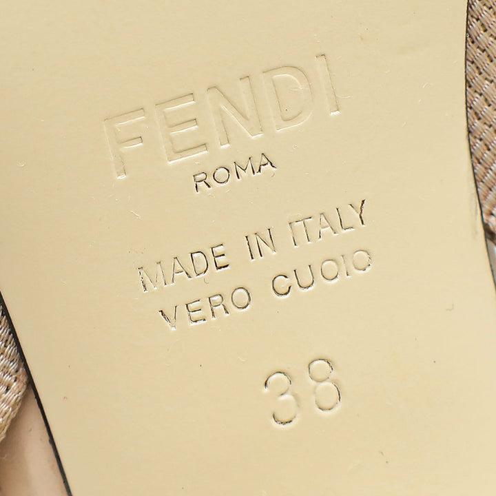 Fendi Bicolor Colibri Mesh Slingback Pumps 38