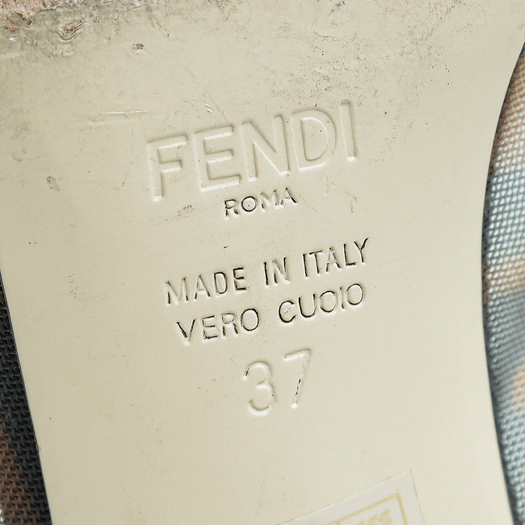 Fendi Bicolor Mesh Colibri Pumps 37