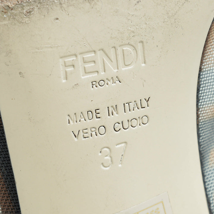 Fendi Bicolor Mesh Colibri Pumps 37