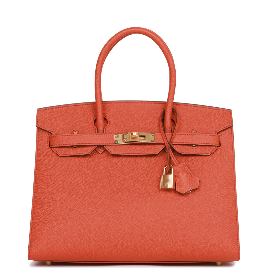 Hermes Birkin 30 Sellier Terre Battue Epsom Gold Hardware