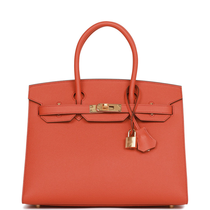 Hermes Birkin 30 Sellier Terre Battue Epsom Gold Hardware