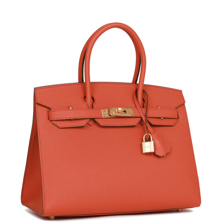 Hermes Birkin 30 Sellier Terre Battue Epsom Gold Hardware