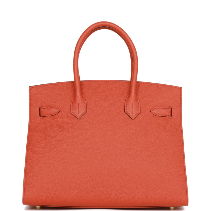 Hermes Birkin 30 Sellier Terre Battue Epsom Gold Hardware