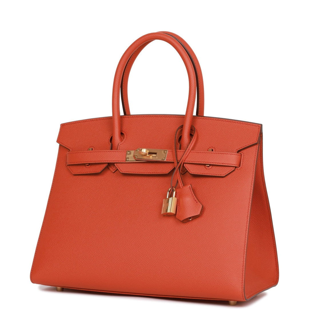 Hermes Birkin 30 Sellier Terre Battue Epsom Gold Hardware