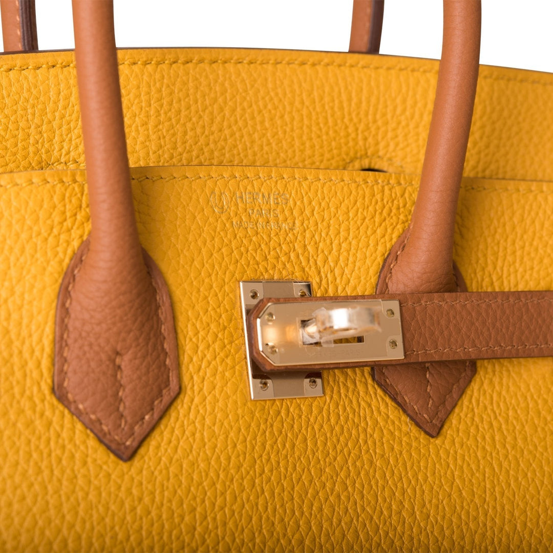 Premium Handmade Hermes Special Order (HSS) Birkin 25 Jaune Ambre and Gold Togo Permabrass Hardware