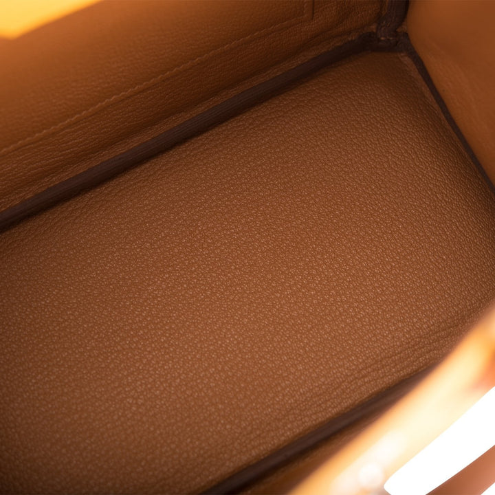 Premium Handmade Hermes Special Order (HSS) Birkin 25 Jaune Ambre and Gold Togo Permabrass Hardware