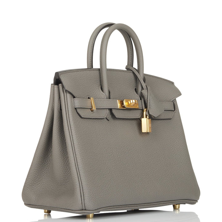 Top quality Hermes Birkin 25 Etain Togo Gold Hardware