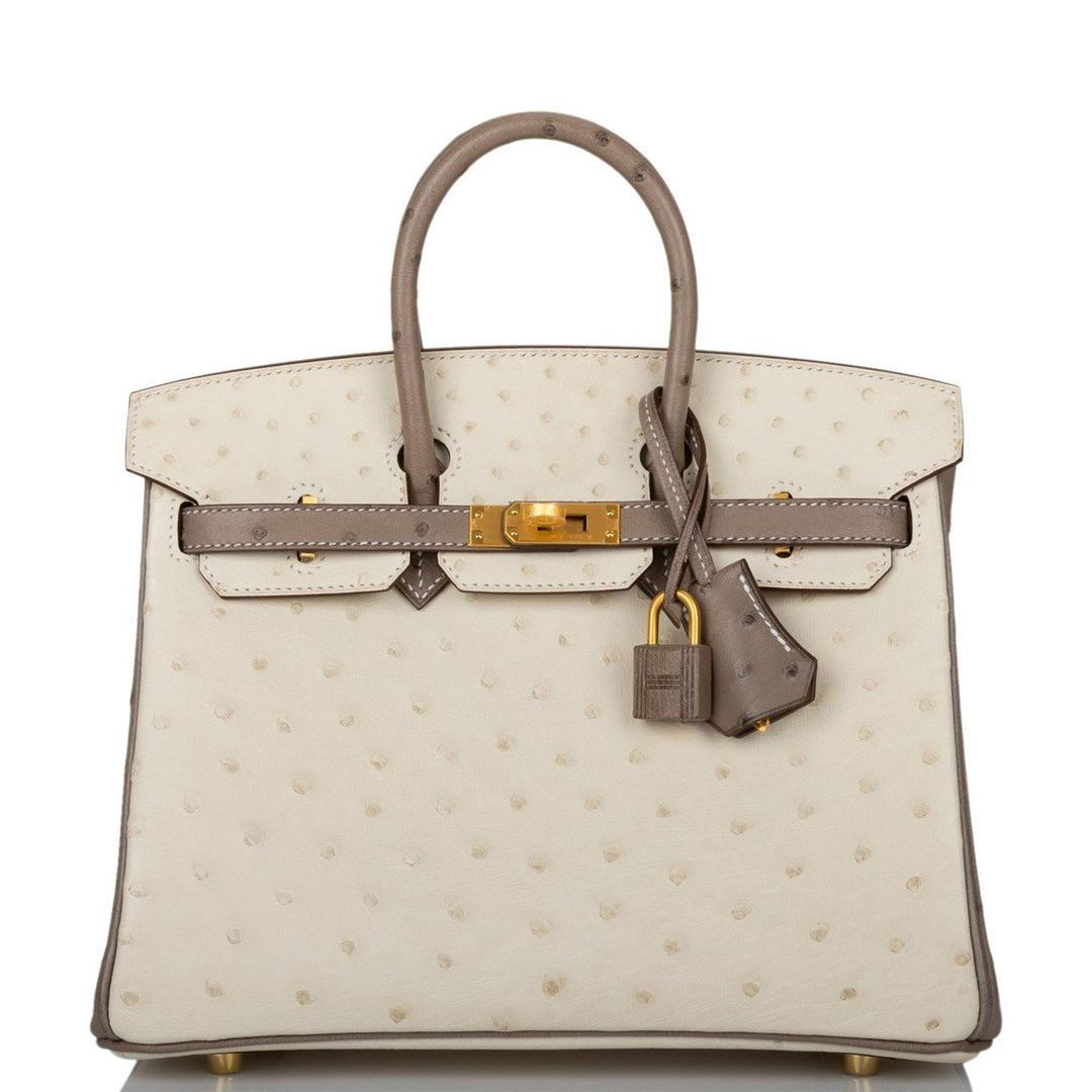 Hermes Birkin 25 Beton and Gris Asphalte Ostrich Brushed Gold Hardware