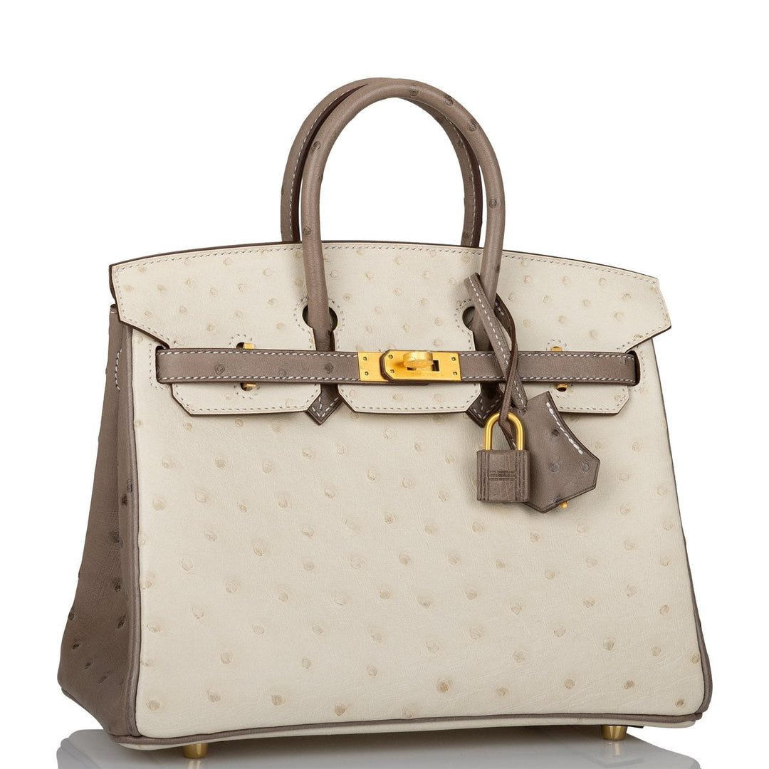 Hermes Birkin 25 Beton and Gris Asphalte Ostrich Brushed Gold Hardware