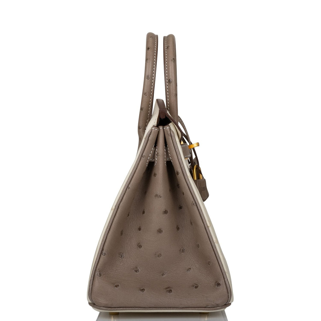 Hermes Birkin 25 Beton and Gris Asphalte Ostrich Brushed Gold Hardware