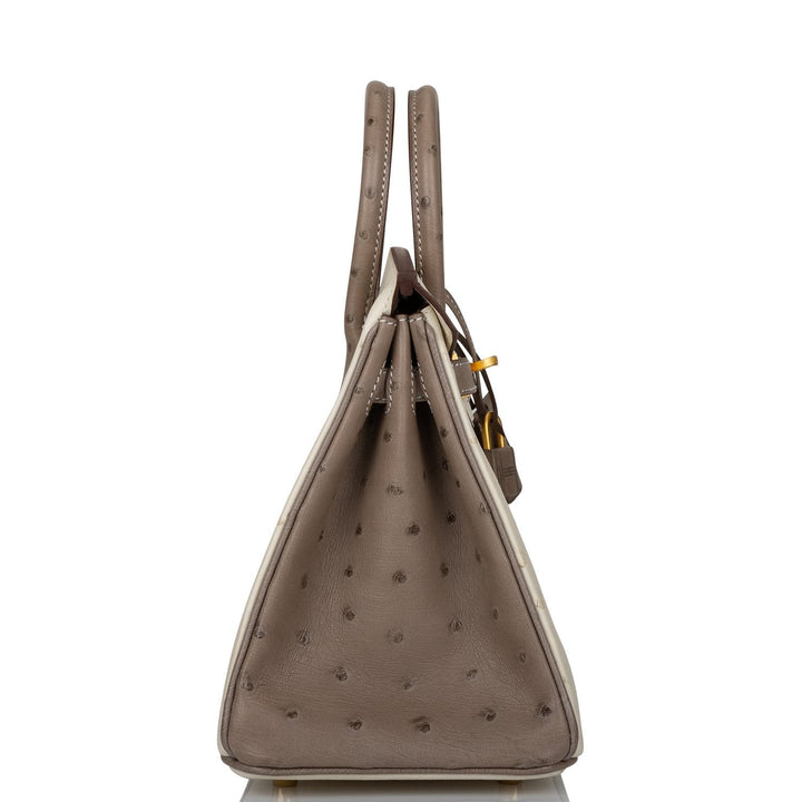 Hermes Birkin 25 Beton and Gris Asphalte Ostrich Brushed Gold Hardware