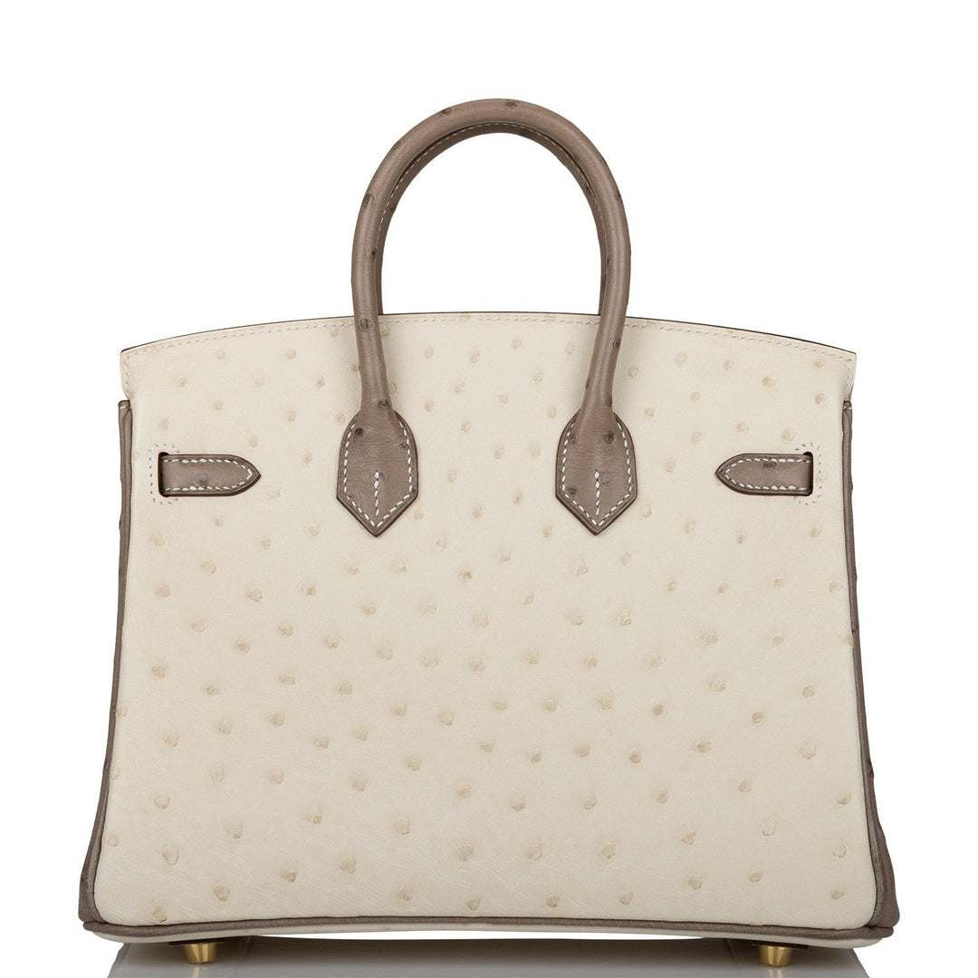 Hermes Birkin 25 Beton and Gris Asphalte Ostrich Brushed Gold Hardware