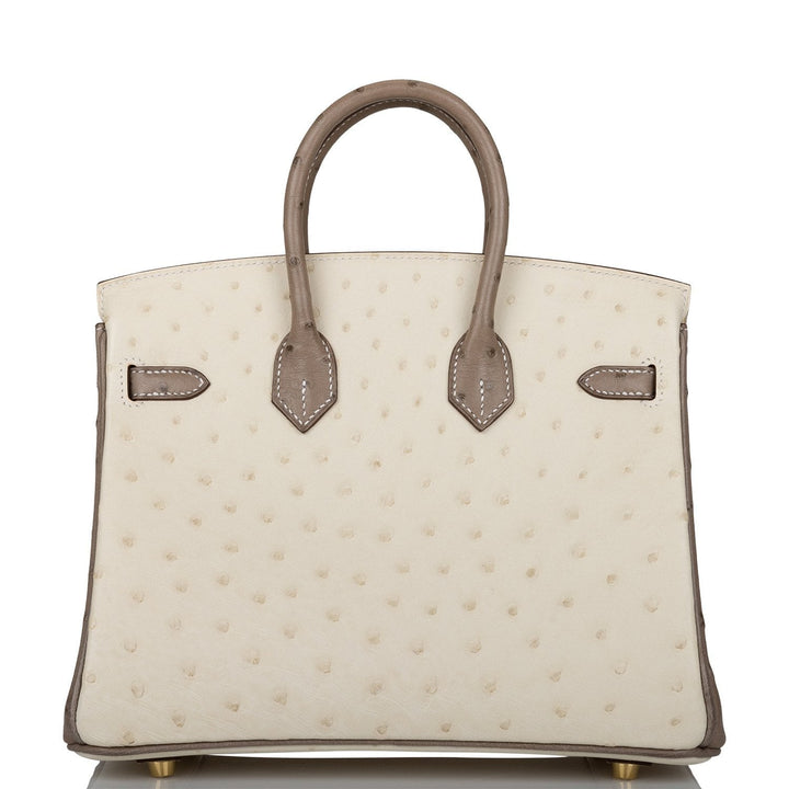 Hermes Birkin 25 Beton and Gris Asphalte Ostrich Brushed Gold Hardware