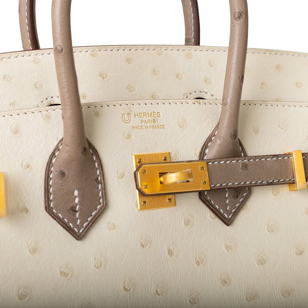 Hermes Birkin 25 Beton and Gris Asphalte Ostrich Brushed Gold Hardware