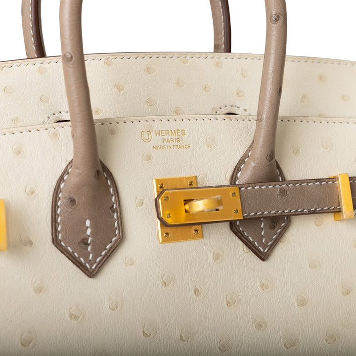 Hermes Birkin 25 Beton and Gris Asphalte Ostrich Brushed Gold Hardware