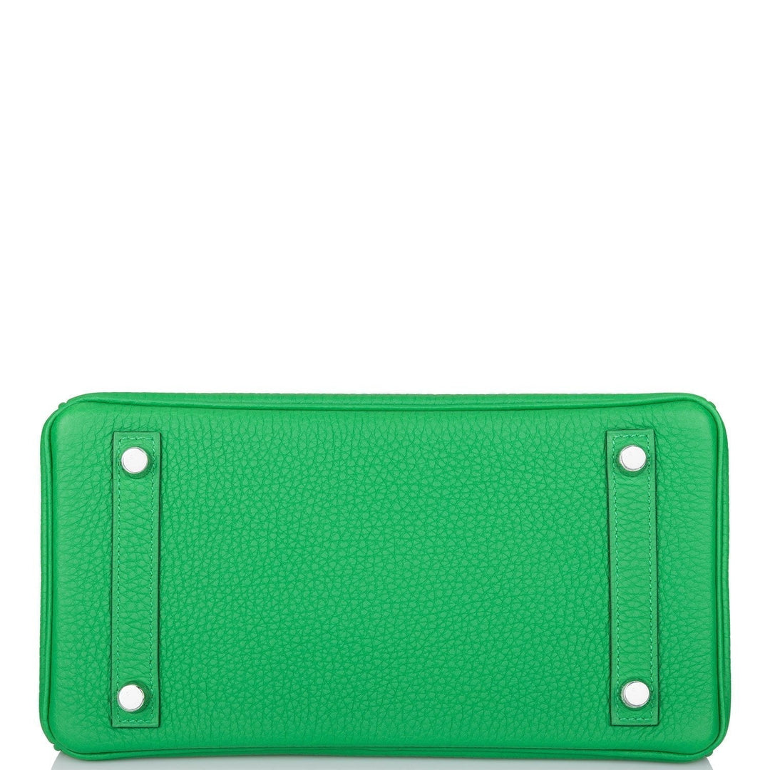 Hermes Birkin 25 Bambou Shiny Alligator and Togo Touch Palladium Hardware