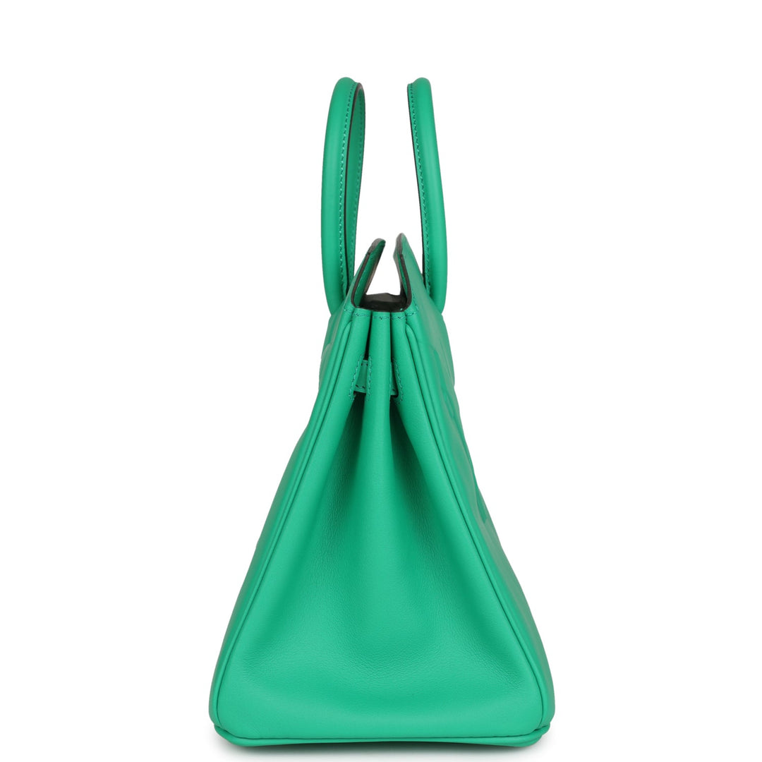 Top quality Hermes Birkin Shadow 25 Menthe Swift Palladium Hardware