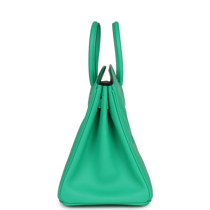 Top quality Hermes Birkin Shadow 25 Menthe Swift Palladium Hardware