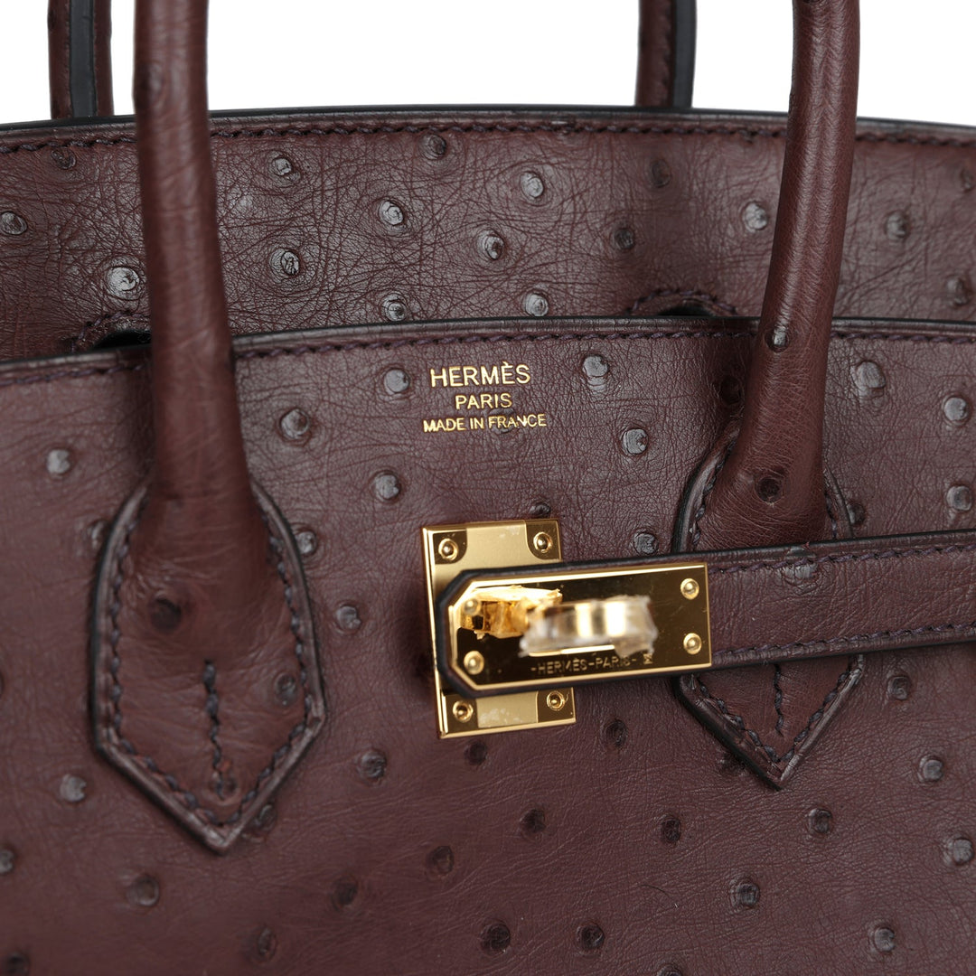 Premium Handmade Hermes Birkin 25 Rouge Sellier Ostrich Gold Hardware