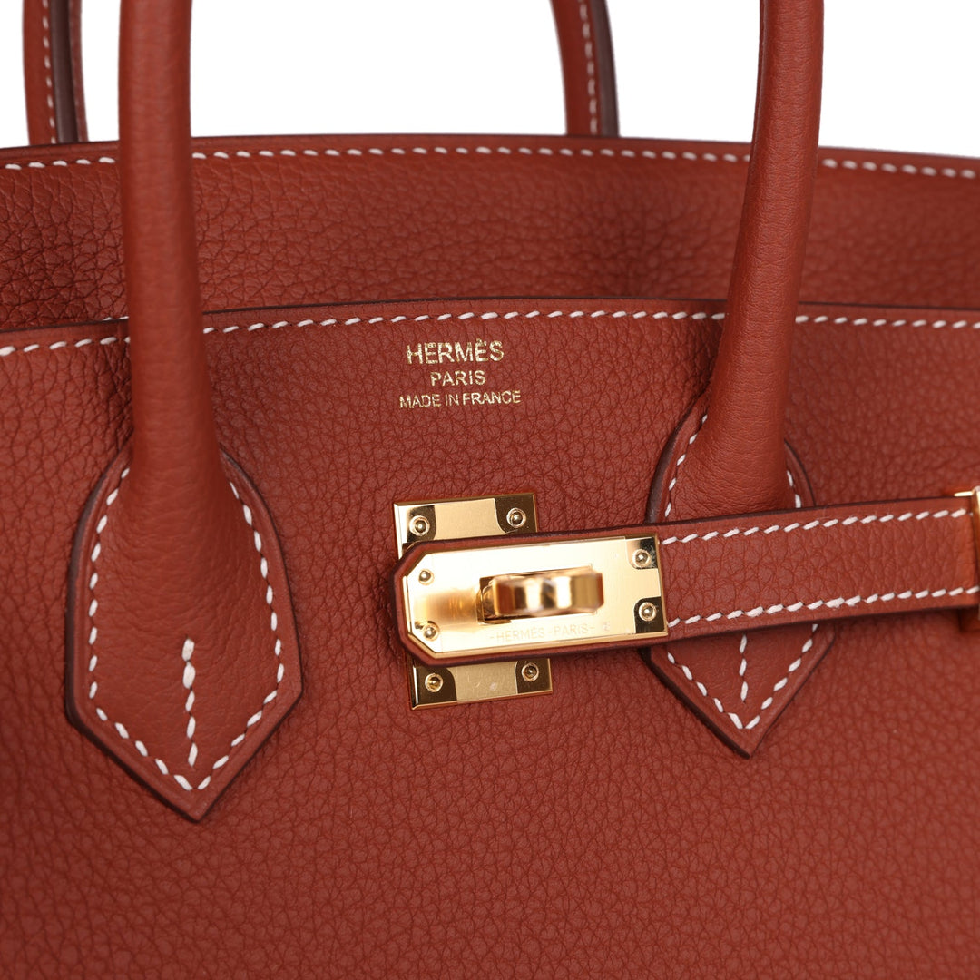 Top quality Hermes Birkin 25 Sienne Togo Gold Hardware