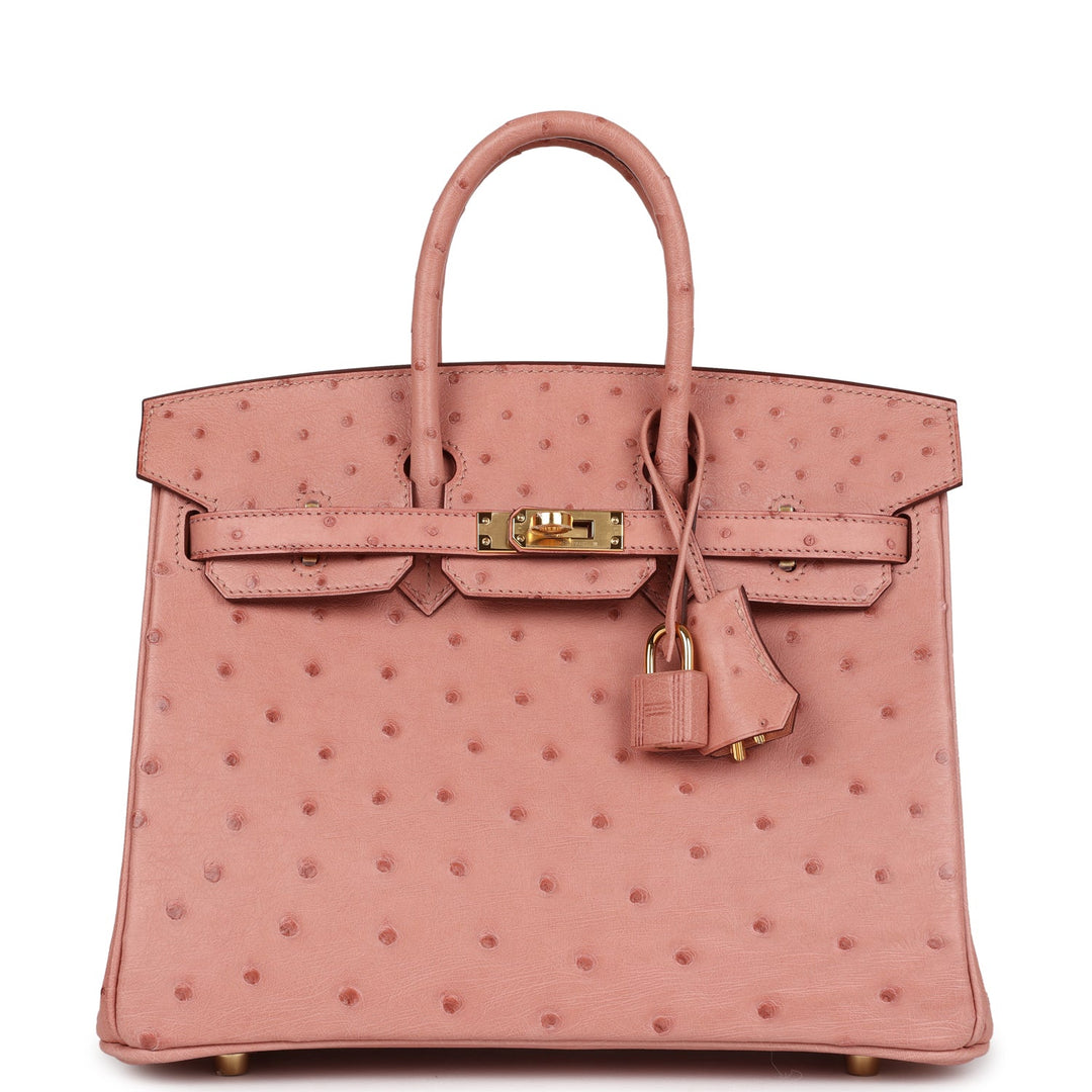 Hermes Birkin 25 Terre Cuite Ostrich Gold Hardware