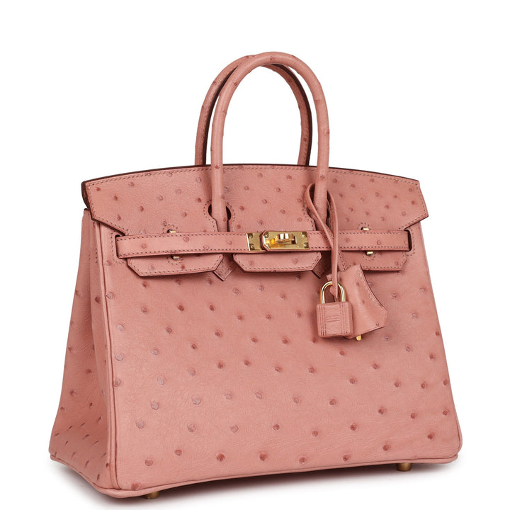 Top quality Hermes Birkin 25 Terre Cuite Ostrich Gold Hardware