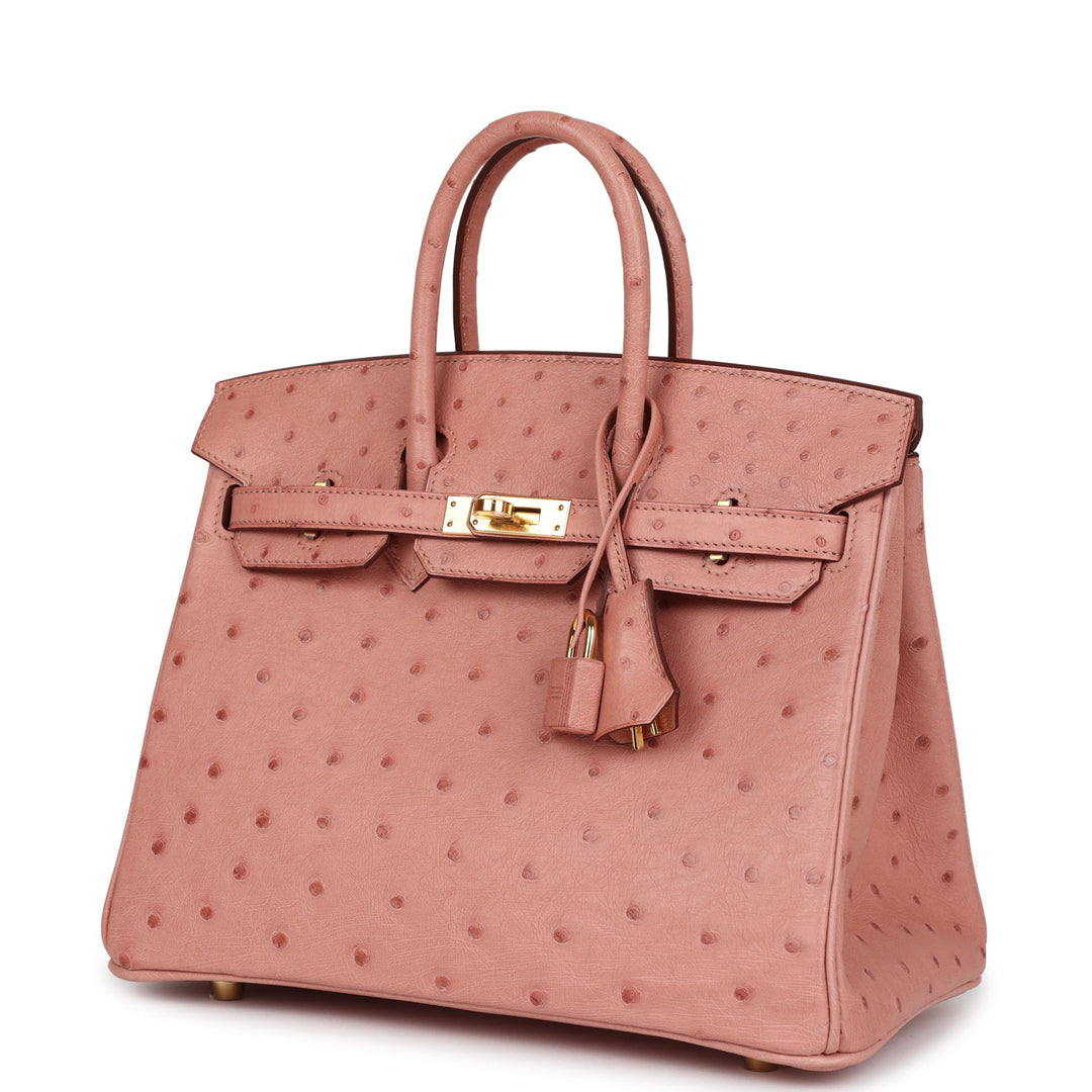 Top quality Hermes Birkin 25 Terre Cuite Ostrich Gold Hardware