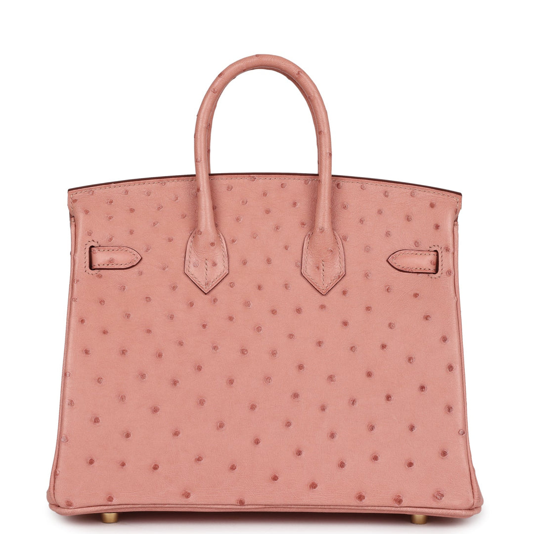 Top quality Hermes Birkin 25 Terre Cuite Ostrich Gold Hardware
