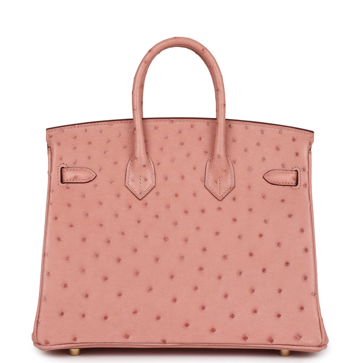Top quality Hermes Birkin 25 Terre Cuite Ostrich Gold Hardware