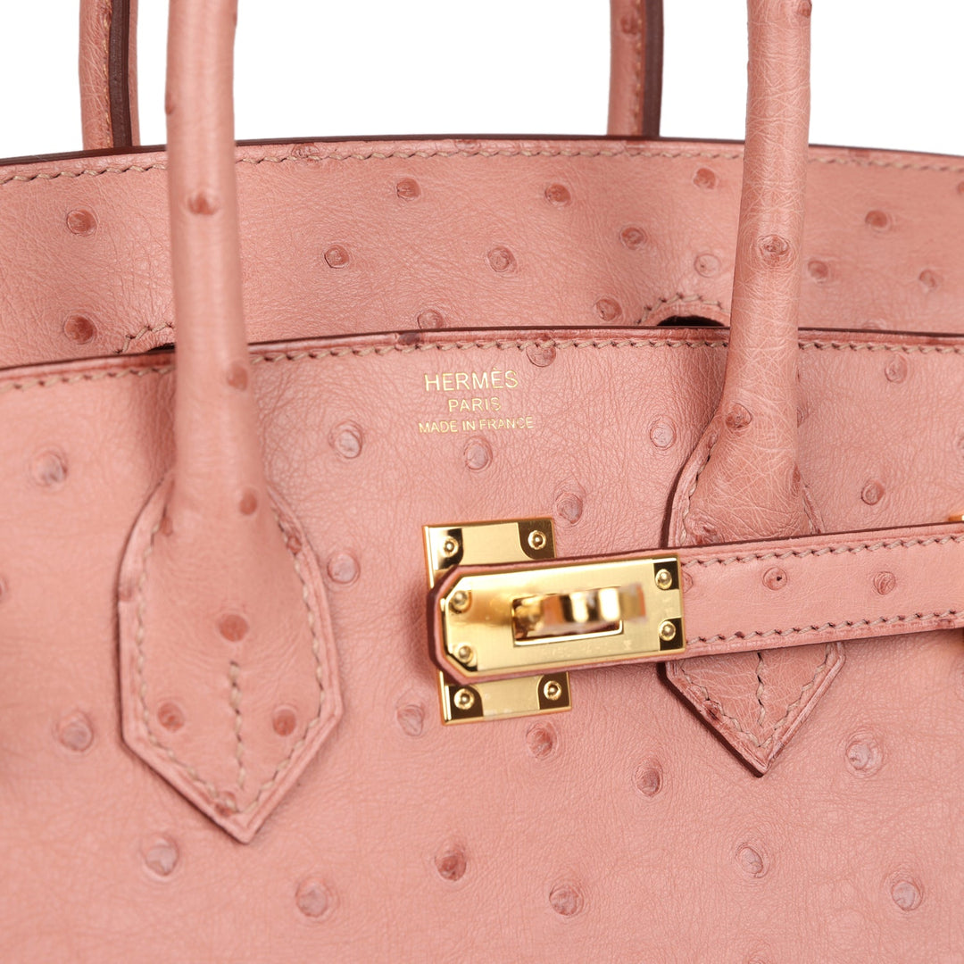 Top quality Hermes Birkin 25 Terre Cuite Ostrich Gold Hardware