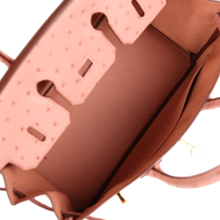 Top quality Hermes Birkin 25 Terre Cuite Ostrich Gold Hardware