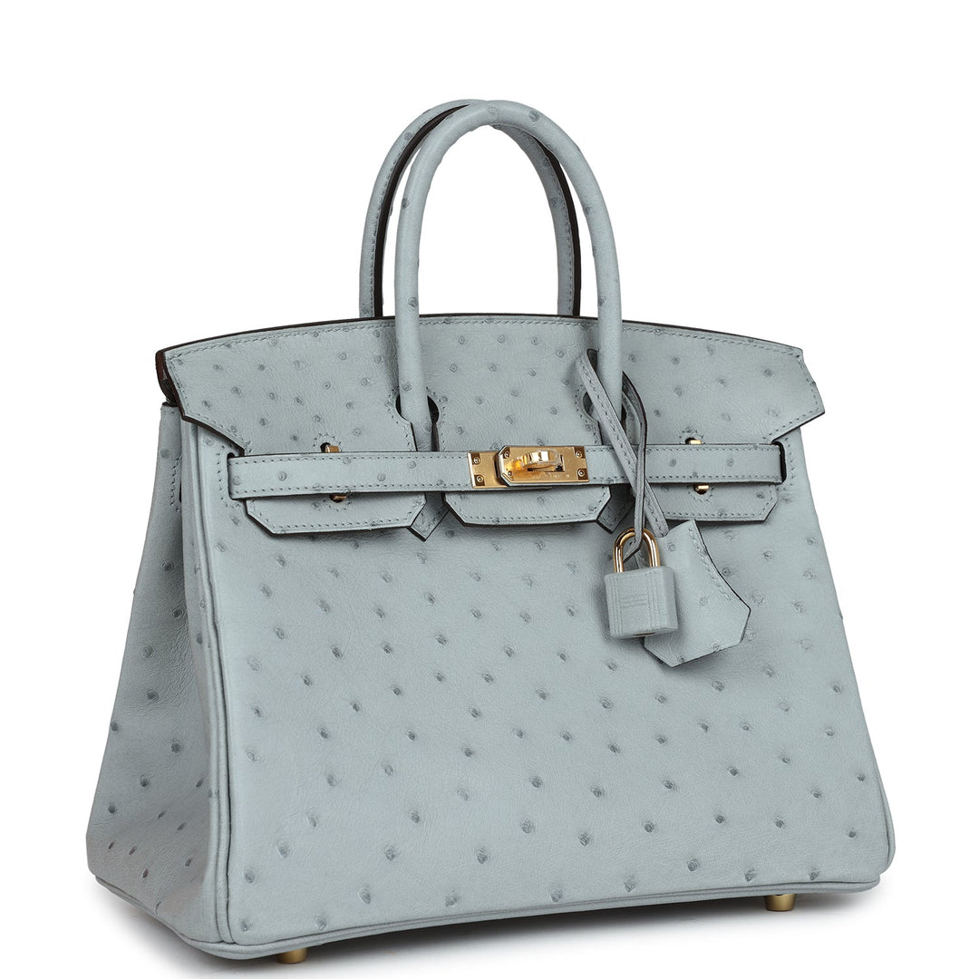 Top quality Hermes Birkin 25 Bleu Glacier Ostrich Gold Hardware