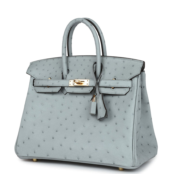 Top quality Hermes Birkin 25 Bleu Glacier Ostrich Gold Hardware