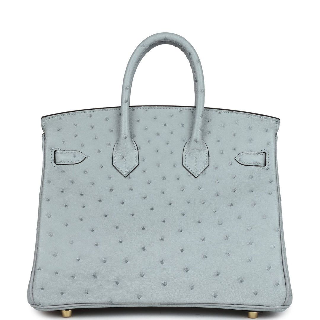 Top quality Hermes Birkin 25 Bleu Glacier Ostrich Gold Hardware