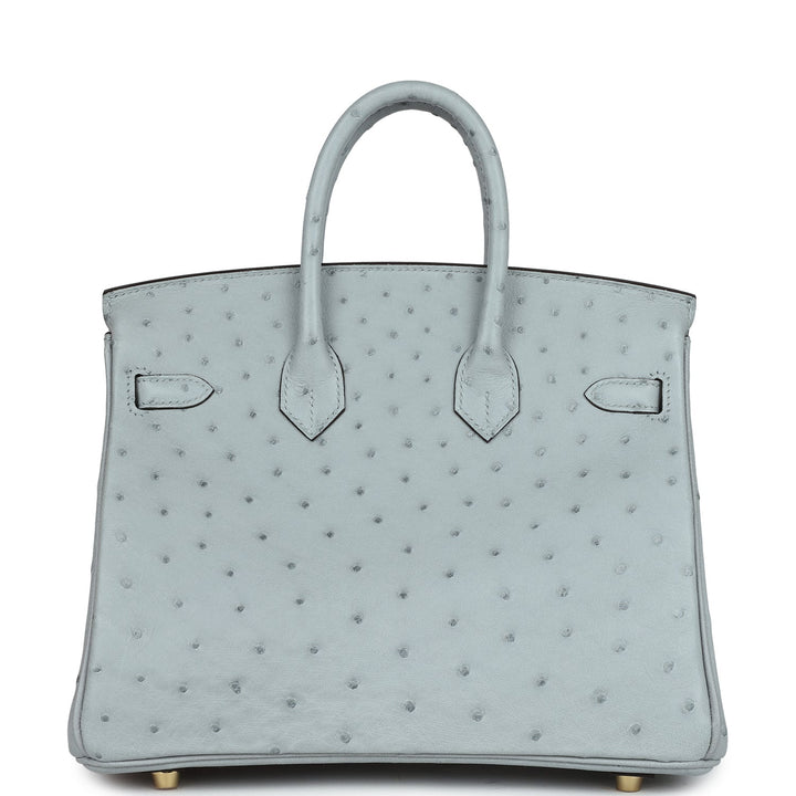 Top quality Hermes Birkin 25 Bleu Glacier Ostrich Gold Hardware