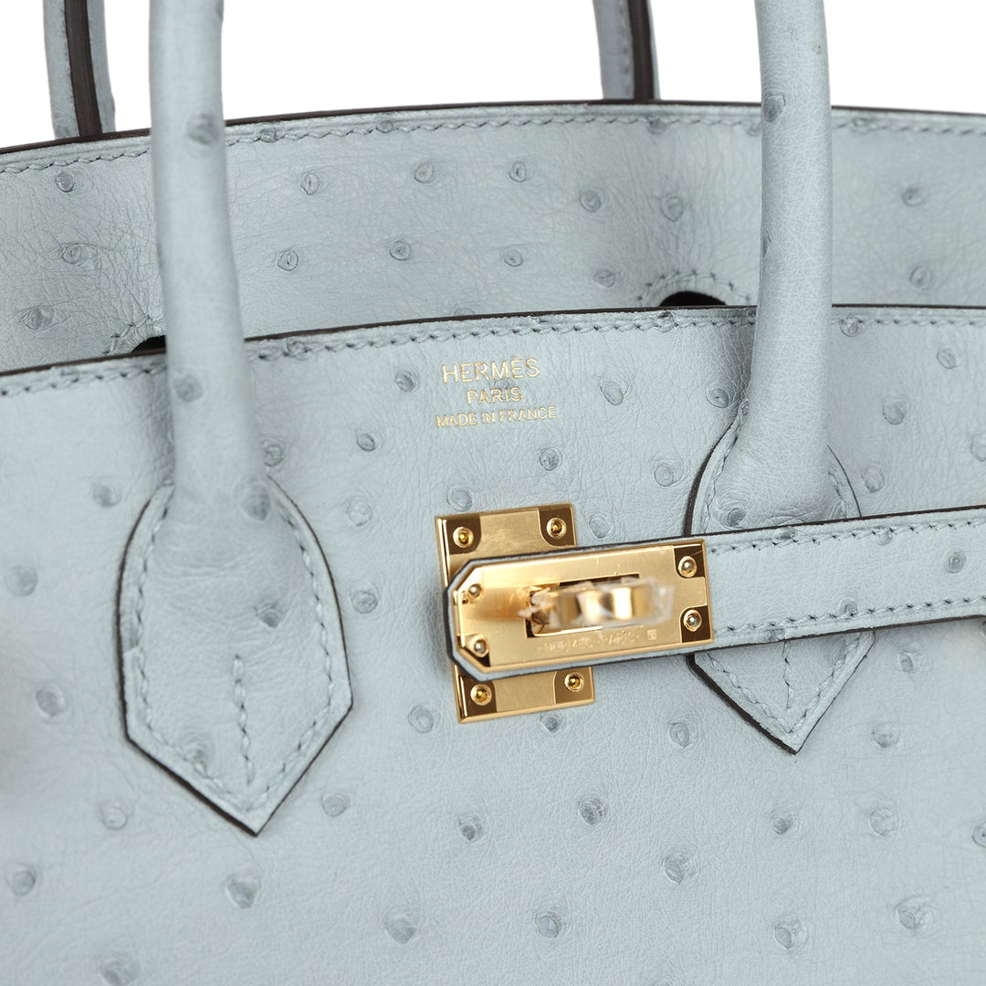 Top quality Hermes Birkin 25 Bleu Glacier Ostrich Gold Hardware