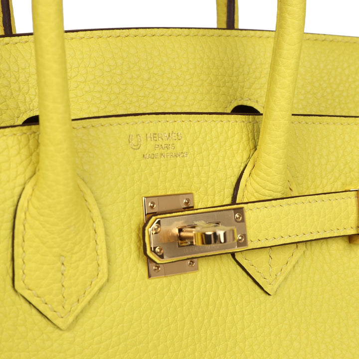 Hermes Special Order (HSS) Birkin 25 Lime Verso Clemence Rose Gold Hardware