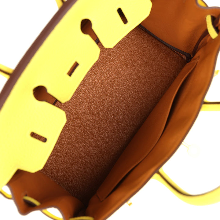 Hermes Special Order (HSS) Birkin 25 Lime Verso Clemence Rose Gold Hardware