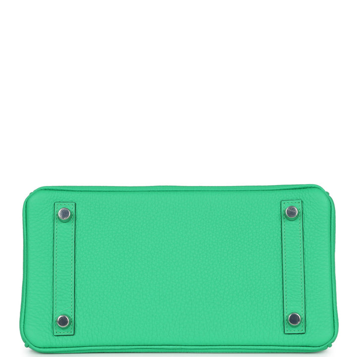Hermes Birkin 25 Vert Comics Togo and Matte Alligator Touch Palladium Hardware