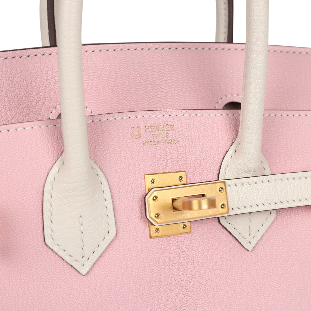 Hermes Special Order (HSS) Birkin 25 Rose Sakura and Nata Chevre Brushed Gold Hardware