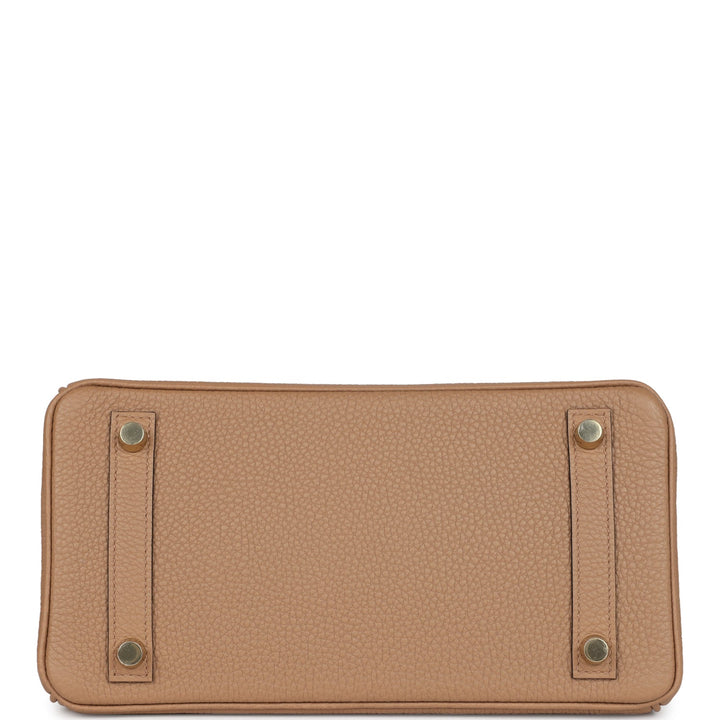 Hermes Birkin 25 Chai Togo Gold Hardware
