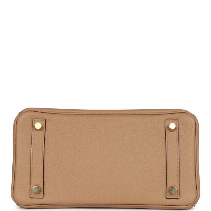 Hermes Birkin 25 Chai Togo Gold Hardware