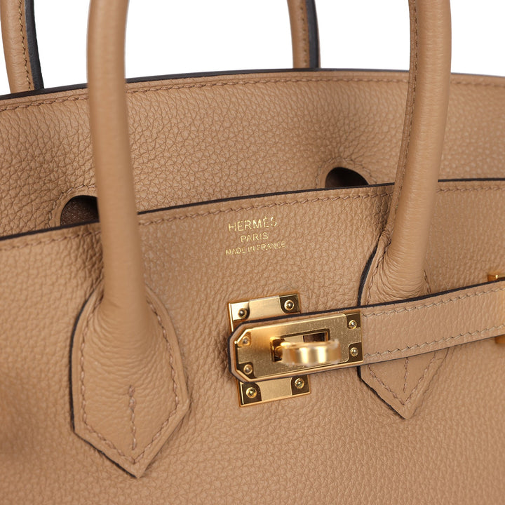 Hermes Birkin 25 Chai Togo Gold Hardware