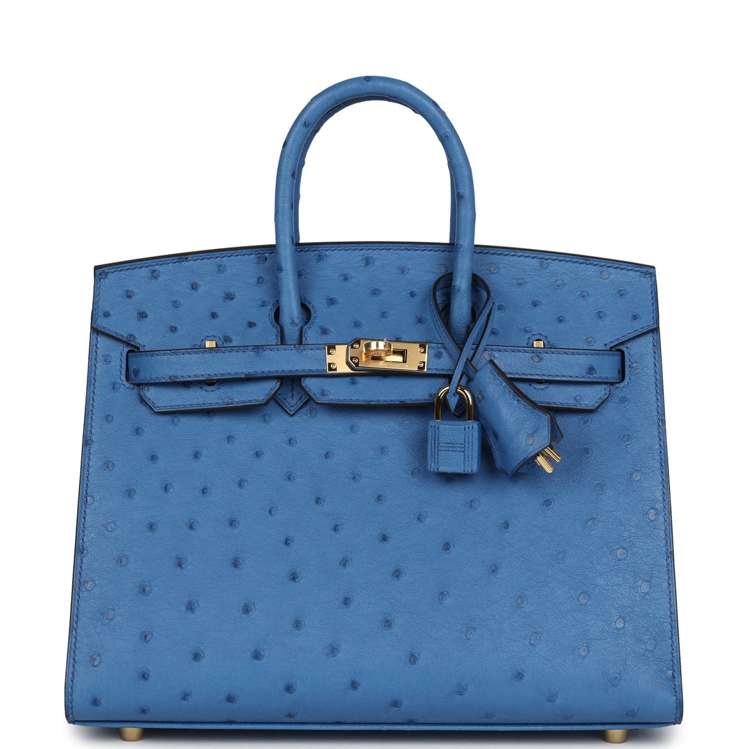 Hermes Birkin Sellier 25 Mykonos Ostrich Gold Hardware Payment 1