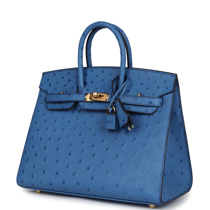 Hermes Birkin Sellier 25 Mykonos Ostrich Gold Hardware Payment 1