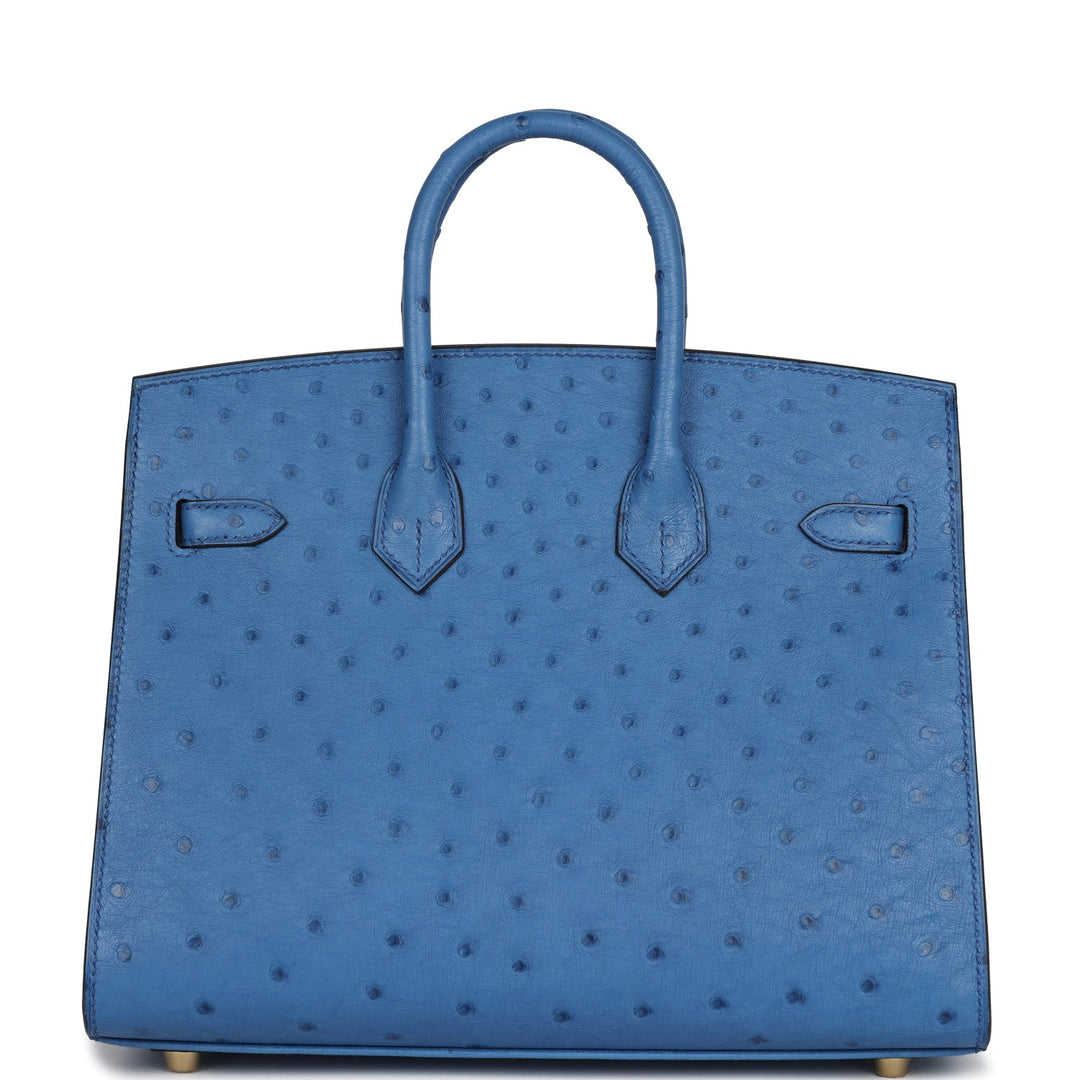 Hermes Birkin Sellier 25 Mykonos Ostrich Gold Hardware Payment 1