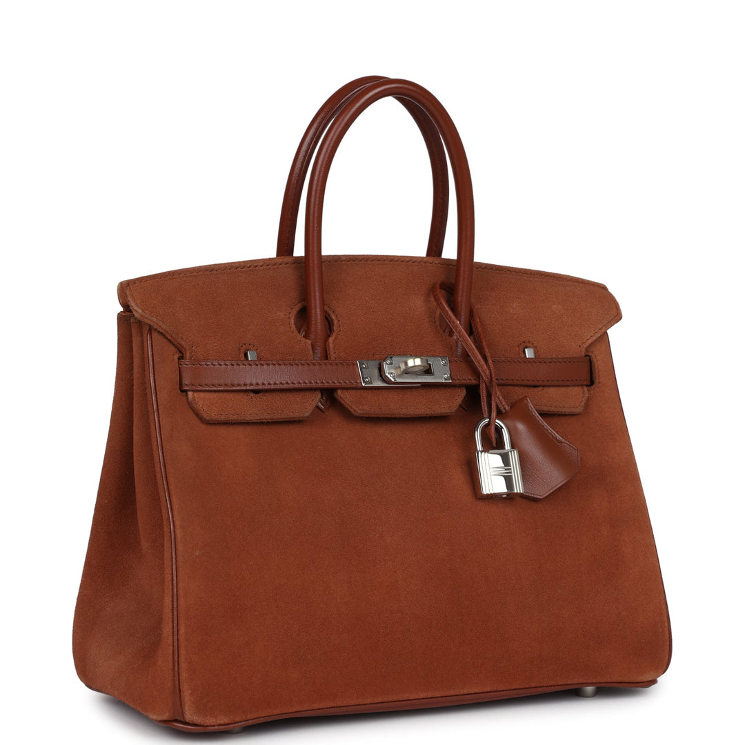 Hermes Birkin 25 Noisette Doblis and Box Palladium Hardware