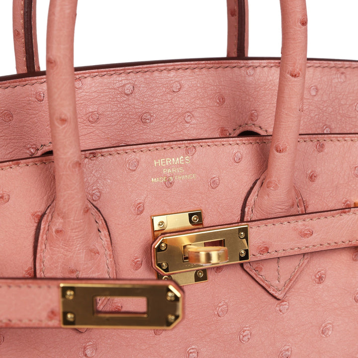 Hermes Birkin 25 Terre Cuite Ostrich Gold Hardware