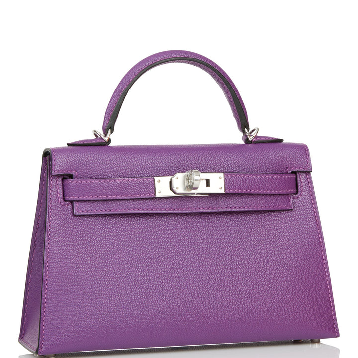 Hermes Kelly 20 Sellier Violet Verso Chèvre Palladium Hardware
