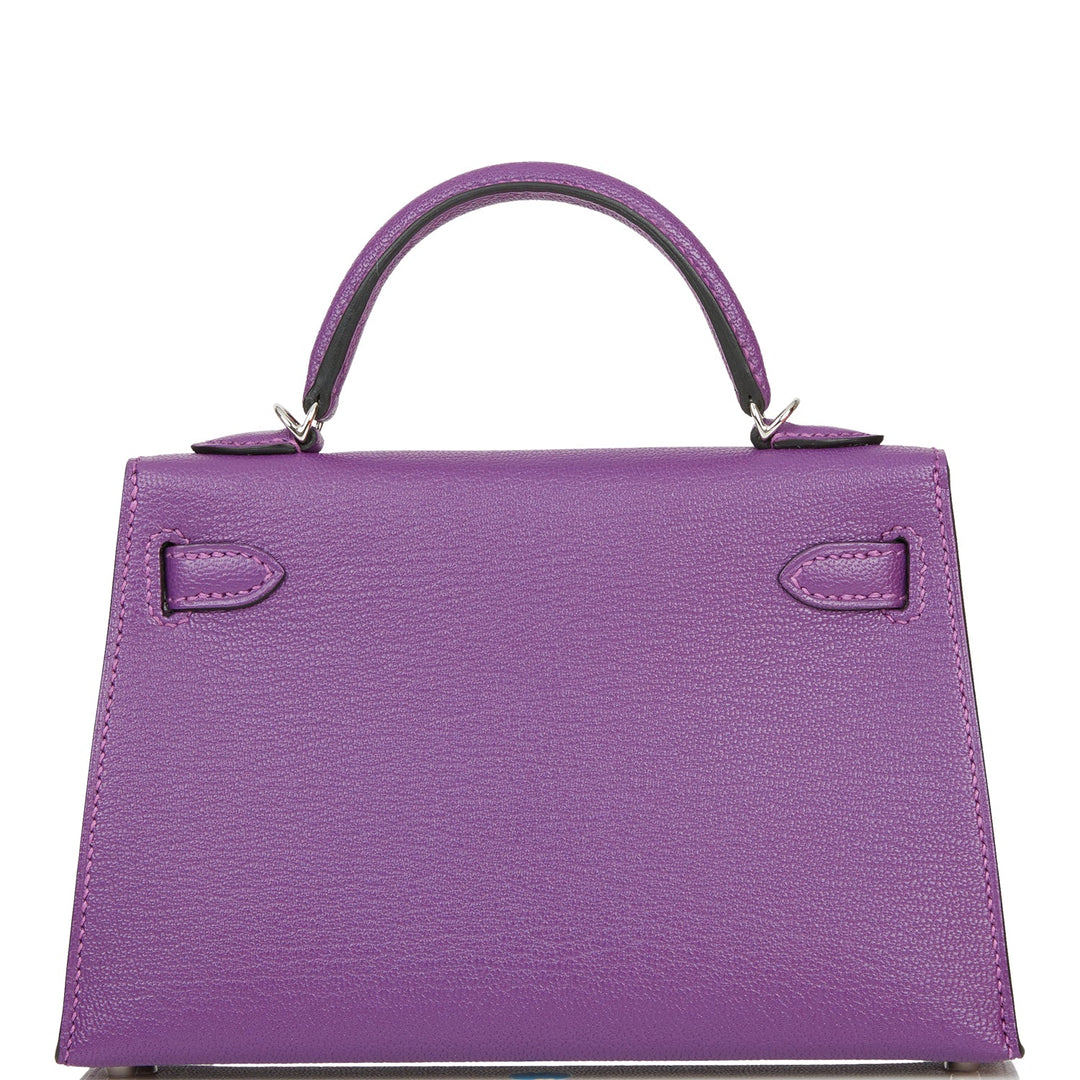 Hermes Kelly 20 Sellier Violet Verso Chèvre Palladium Hardware